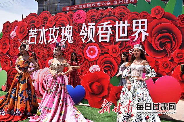 苦水花海浪漫有约兰州第十二届玫瑰节开幕图