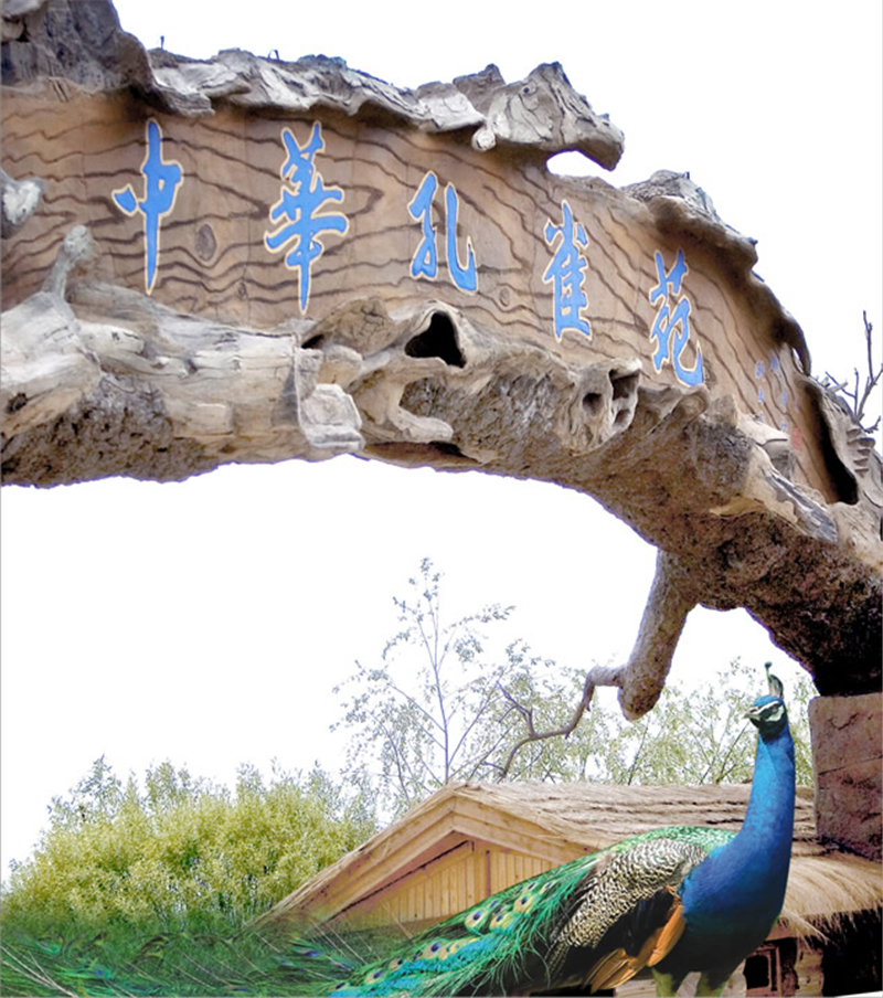 嘉峪关中华孔雀苑(国家4a级景区)
