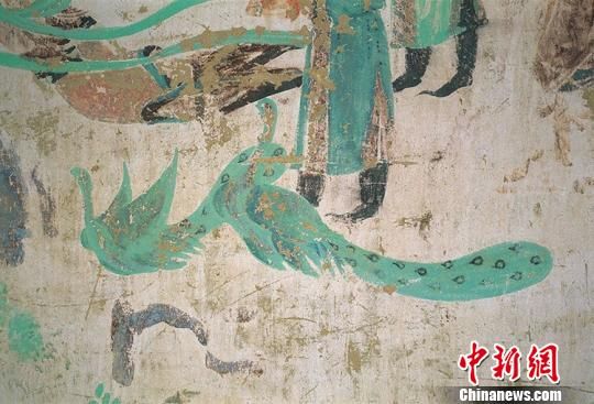 图为莫高窟332窟中绘于初唐的“双孔雀” 。敦煌研究院供图