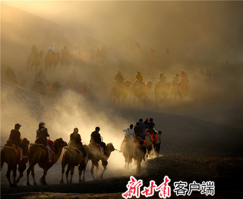 《鸣沙山—驼影》 杜雨林.jpg