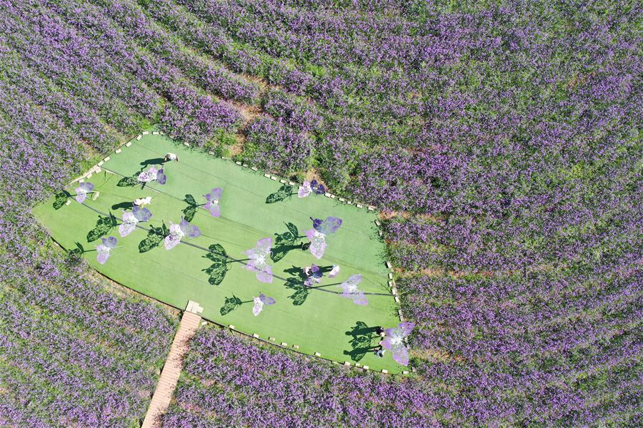 （环境）（2）戈壁“镍都”变田园花城