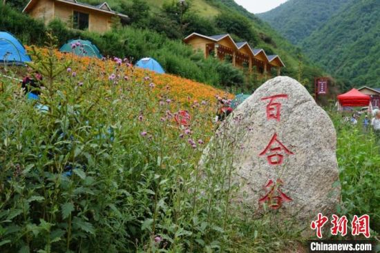 7月中旬，作为兰州百合主产区之一的兰州市七里河区袁家湾村，近年来依托百合产业打造村史馆、百合谷、百合屋、百合长廊等，发展旅游业。　孙乙雯 摄