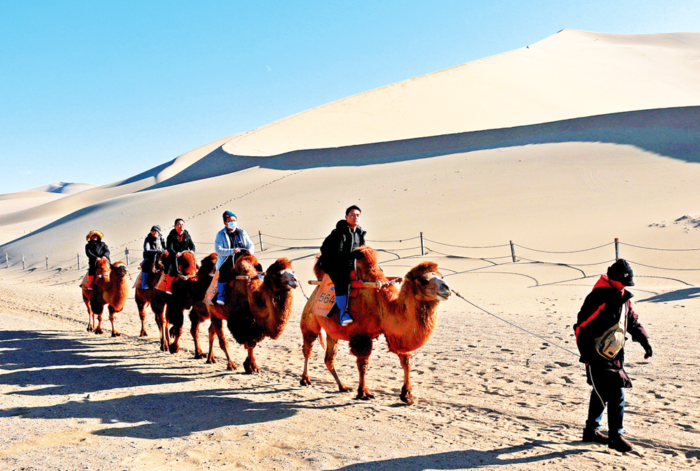 QQ截图20201124093742