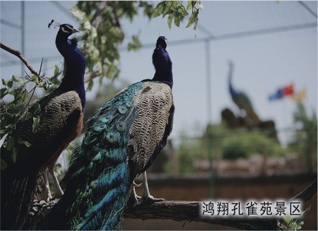 02121253bq5e.png