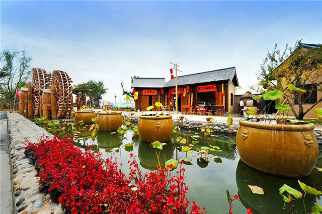 摄影：陈旭东 (18).jpg