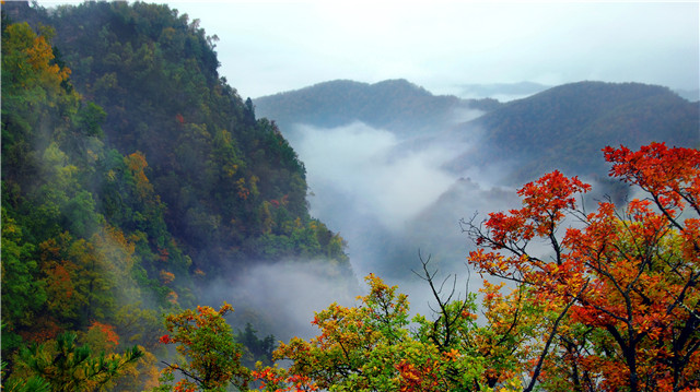 诗画华亭:莲花台