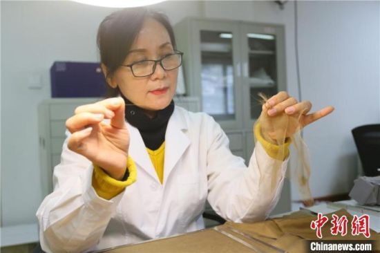 据赵喜梅介绍,修复文物纺织品所用的绉丝纱比头发丝还细。 高展 摄 据赵喜梅介绍,修复文物纺织品所用的绉丝纱比头发丝还细。 高展 摄