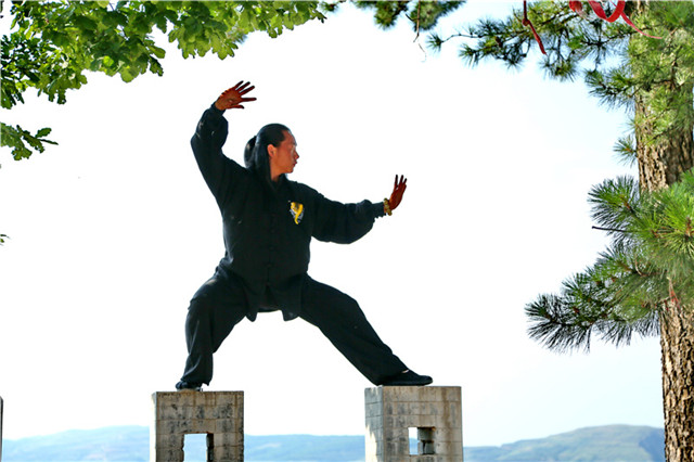 弘扬传统文化瑰宝传承武术之乡经典