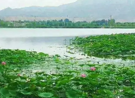 白银：12.95万人次游乡村