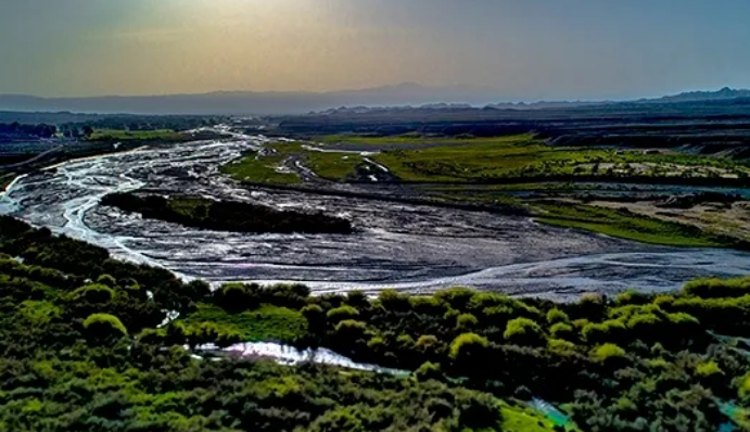 图片4.png 图片4.png