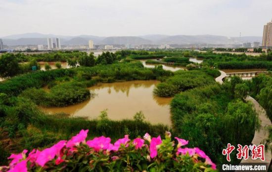 图为兰州黄河湿地公园景色。(资料图) 杨艳敏 摄