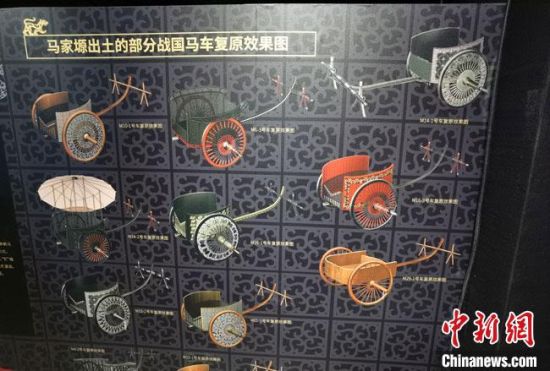 图为马家塬遗址出土的部分战国马车复原效果图。 冯志军 摄 图为马家塬遗址出土的部分战国马车复原效果图。 冯志军 摄