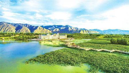 平畴织锦绣 沃野好风光——白银加快美丽乡村建设全面推进乡村振兴扫描