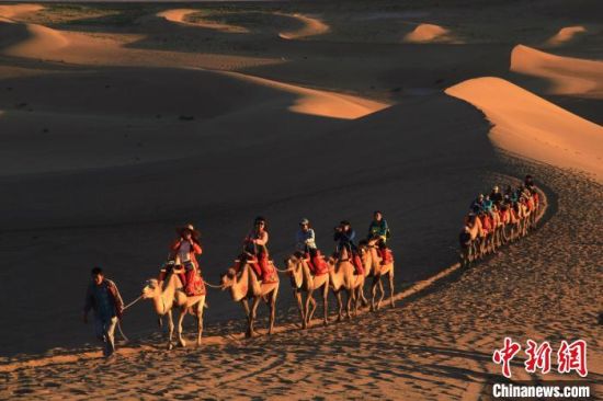 图为大漠驼影。(资料图) 张晓亮 摄 图为大漠驼影。(资料图) 张晓亮 摄