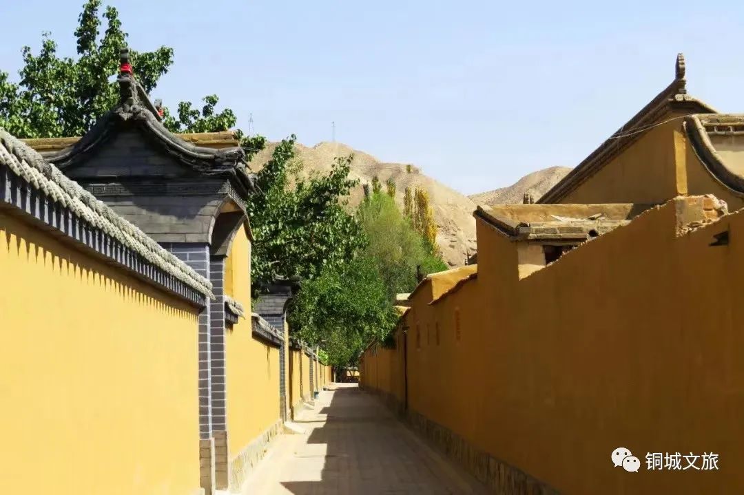 金秋时节遇见西峡口