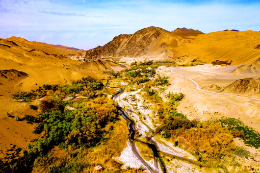 酒泉阿克塞多坝沟胡杨炫金秋