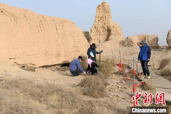 甘肃锁阳城塔尔寺遗址等3个考古发掘项目揭新发现