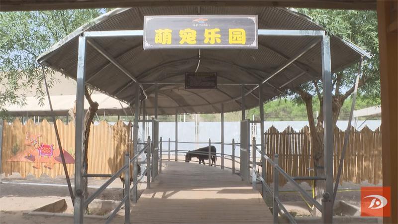敦煌鸣沙山月牙泉景区：引进游览新项目 丰富游玩新体验