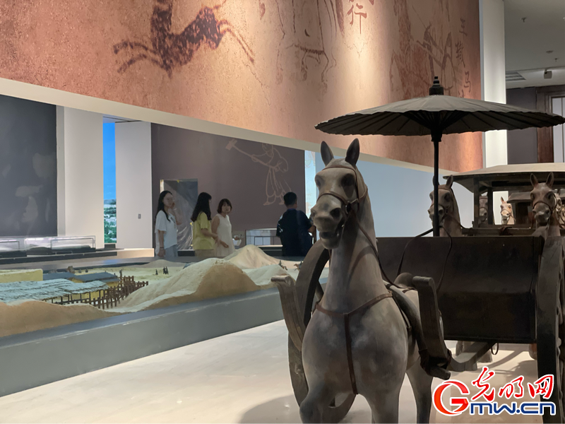 【简牍中国】视频｜馆中窥“简”：千年丝绸路，遗墨永留长