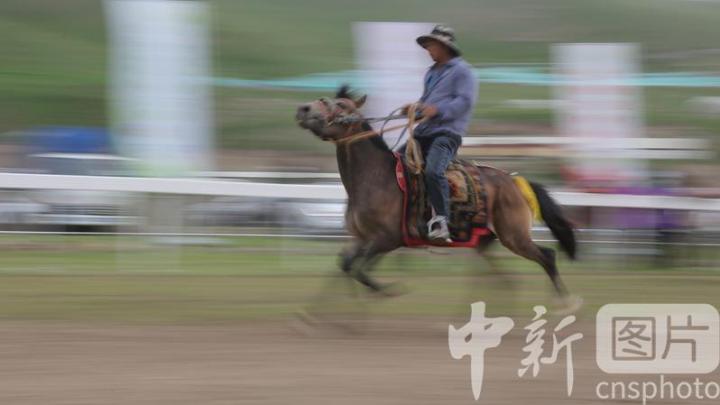 2024年7月11日，中华民族大赛马·2024年天祝藏族自治县“六月六”民族传统赛马大会在甘肃武威天祝县抓喜秀龙草原开赛。来自青海、内蒙古、新疆以及甘肃省内的200多匹赛马参加了比赛。
中新社发 姜爱平 摄