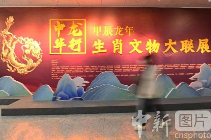 2月27日，游客在甘肃省博物馆走过“龙行中华——甲辰龙年生肖文物大联展”展板。