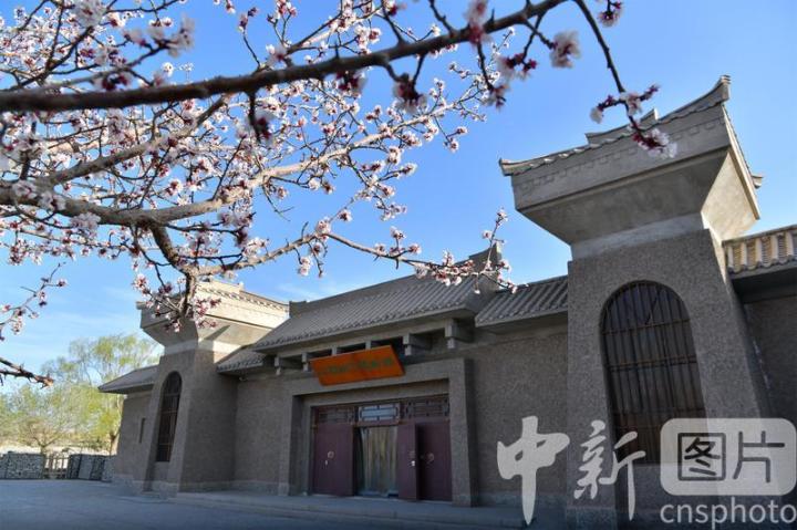 2024年4月5日，甘肃敦煌阳关景区春意盎然。中新社发 王斌银 摄