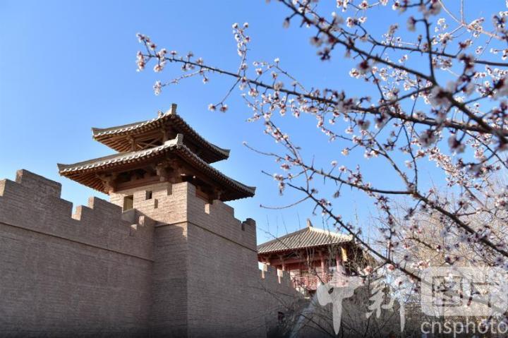 2024年4月5日，甘肃敦煌阳关景区春意盎然。中新社发 王斌银 摄