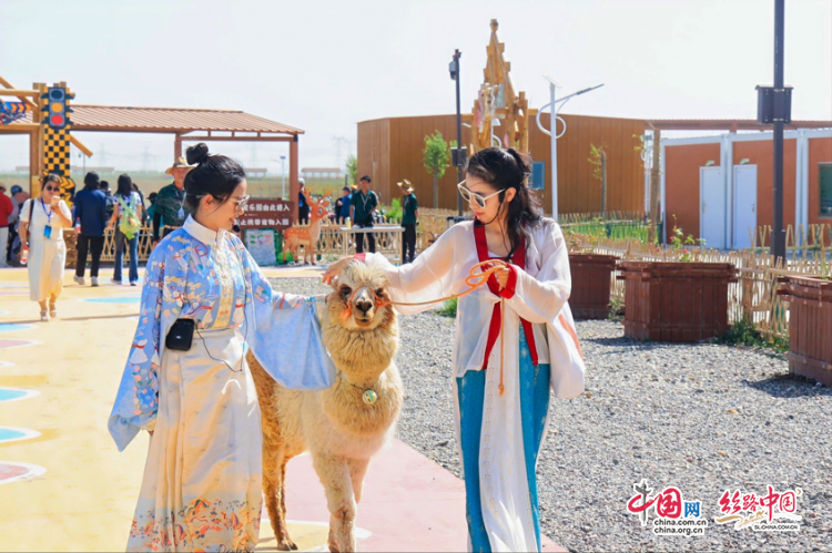 图片27