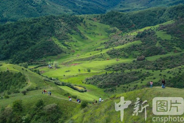 2024年6月29日，甘肃省临夏回族自治州和政县、临夏县交界处的耳子屲梁景区绿意盎然，景色宜人，吸引游客纷至沓来。中新社发 陈坤 摄