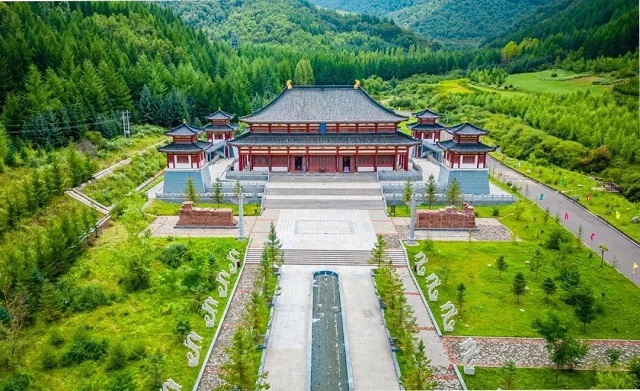 陇中绿肺·定西森呼吸｜带你去四大森林氧吧！