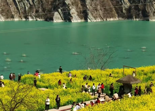 这么近、那么暖，陇南2026年春节文旅市场迎来“开门红”