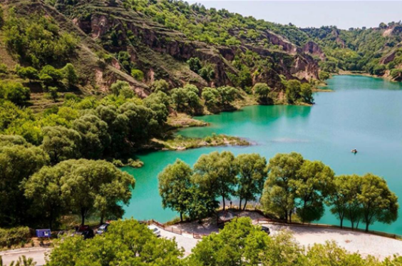 庆阳送你一个治愈系春天