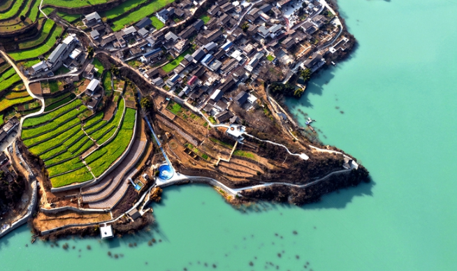 【小陇画报·473期】春到文县早 花开碧水间