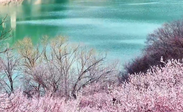 平凉崆峒：春光无限好 踏青正当时