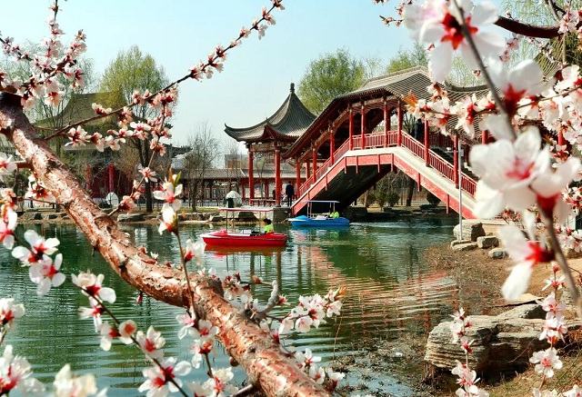 “跟着节气游乡村”乡村旅游主题线路产品（共计162条）