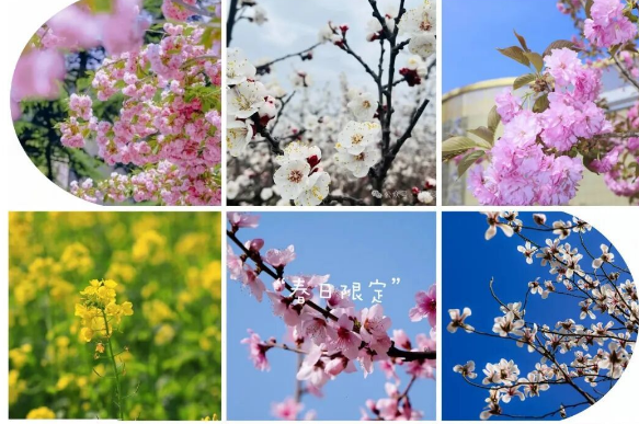 春日陇原 整个甘肃像是被春风唤醒的长卷