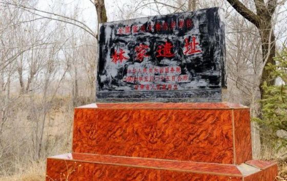 甘肃林家遗址入选西北地区2025年度十大考古成果