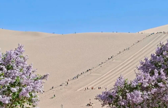 春日踏青正当时 鸣沙山月牙泉景区备受游客青睐
