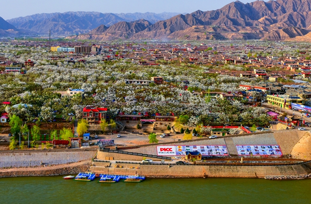 【小陇画报·483期】皋兰：梨花成雪，半园春秋半园诗