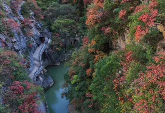 美丽中国丨秋染西狭颂 峡谷入画来