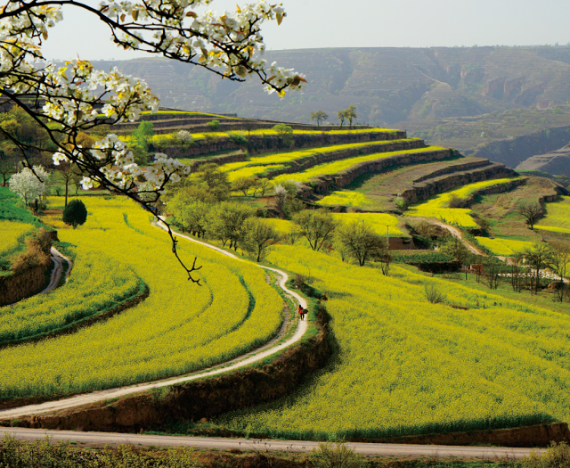 “跟着节气游乡村”乡村旅游主题线路产品（共计162条）